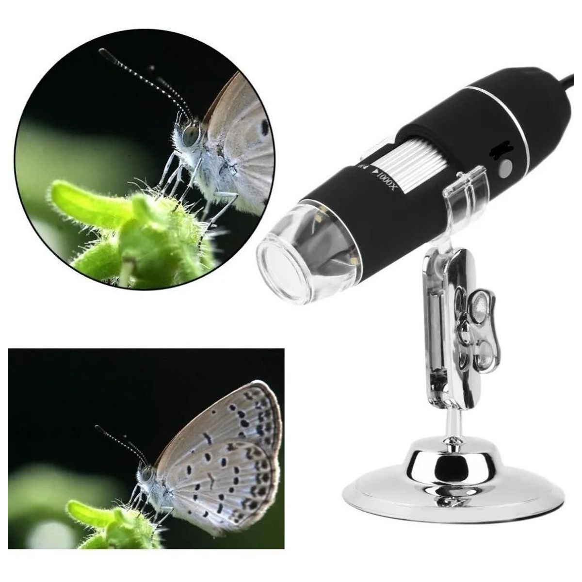 GENERICO - Microscopio Digital USB 1000x con Iluminación LED