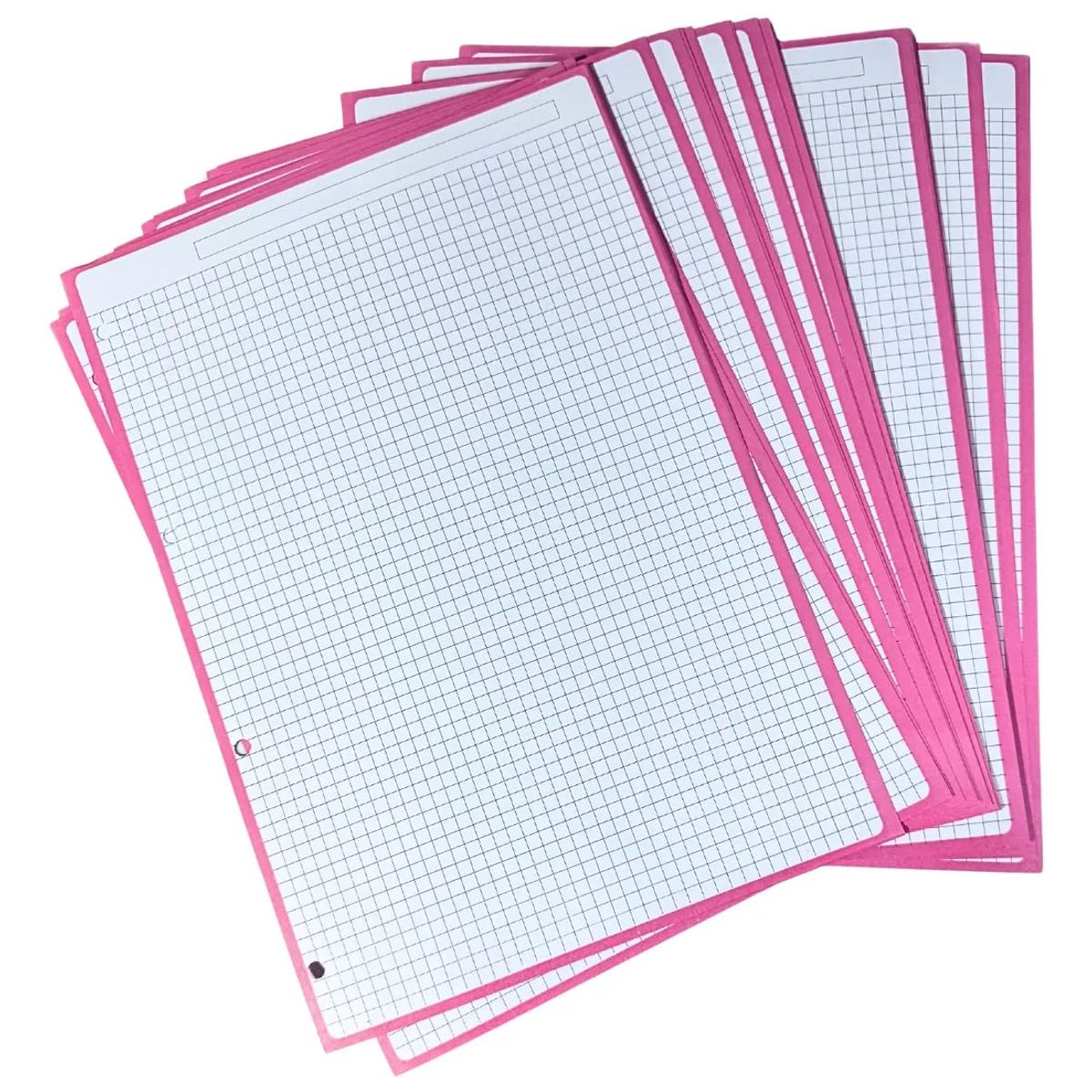 GENERICO - Hojas De Recambio A4 Cuadrícula 5 mm 4 Agujeros,100 g 60 h