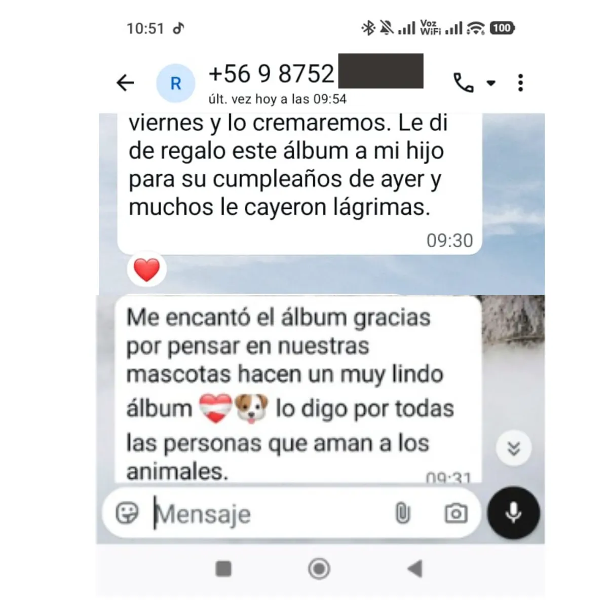 GENERICO - Album de fotos mascotas perro  gato