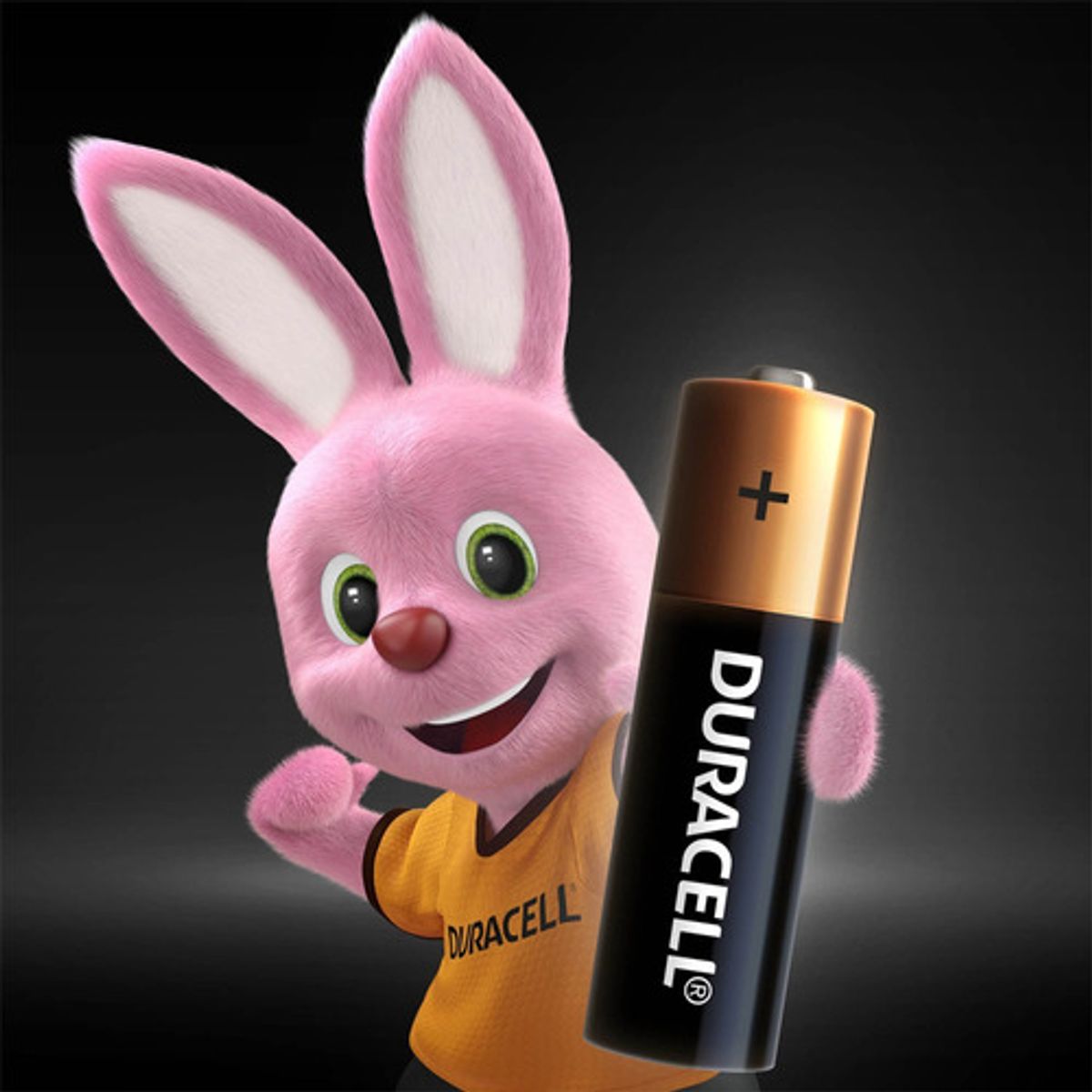 DURACELL - Pila Alcalina Duracell Tira AA 2x6 (12 uds)