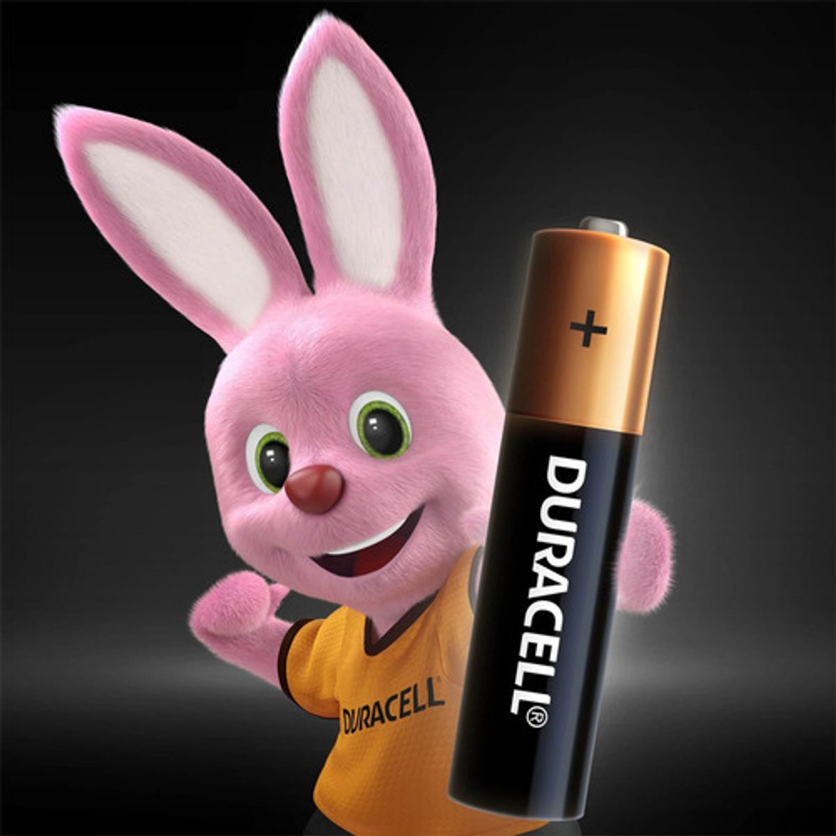 DURACELL - Pila Alcalina Duracell Tira AAA 2x6 (12 uds)