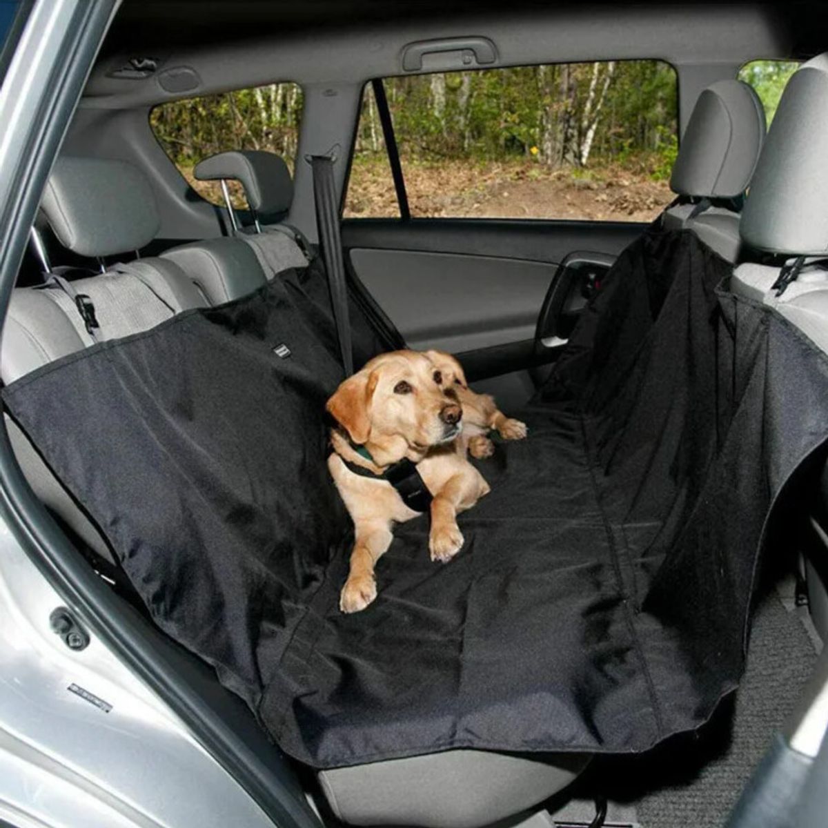 GENERICO - Funda Protectora Para Asientos de Auto Mascotas Verde