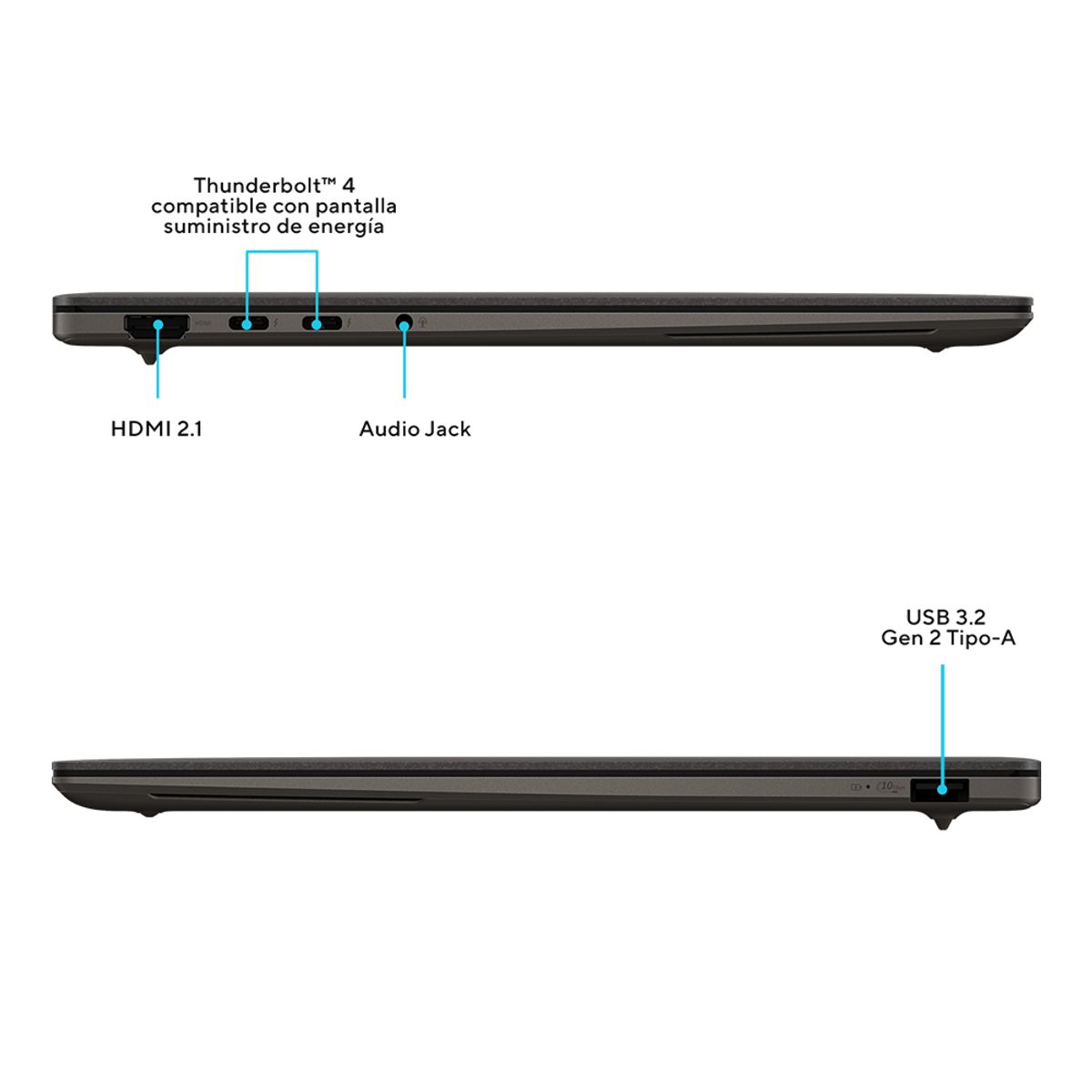 ASUS - Notebook Asus Zenbook S 14 OLED Intel Core Ultra 7 32GB RAM 1TB SSD