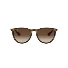 RAY BAN - Lentes de Sol RB4171 Erika Havana