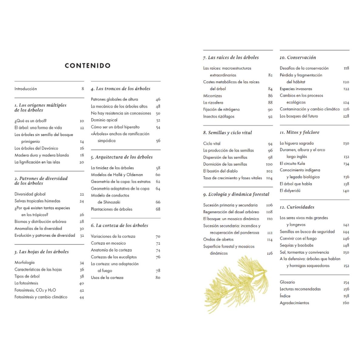 BLUME - Libro ARBOLES - Pequeño libro de la naturaleza.