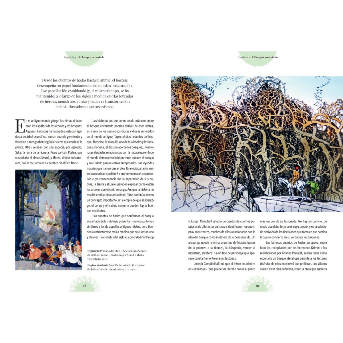 BLUME - Bosque de las brujas