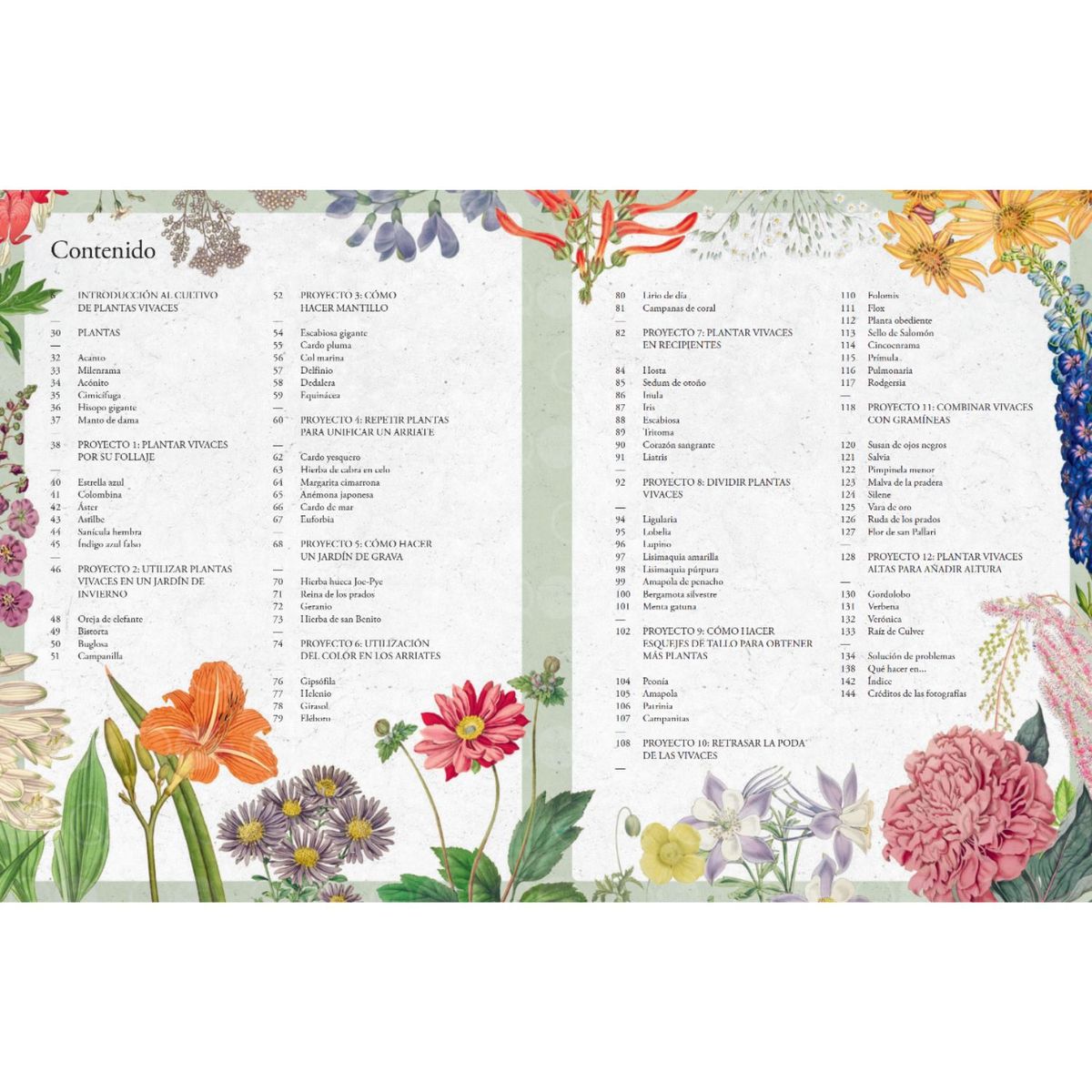 BLUME - Cultivar plantas vivaces