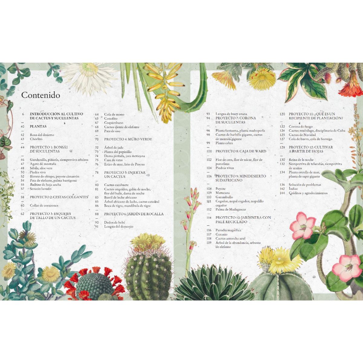 BLUME - Libro CULTIVAR CACTUS Y SUCULENTAS