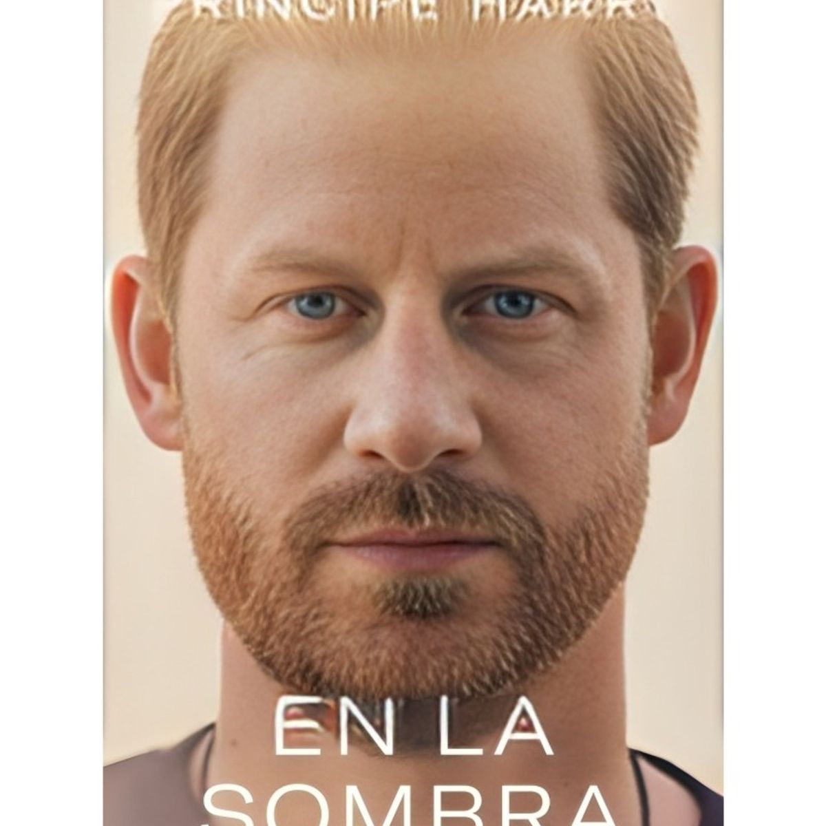 TOP10BOOKS - LIBRO En La Sombra - En La Sombra