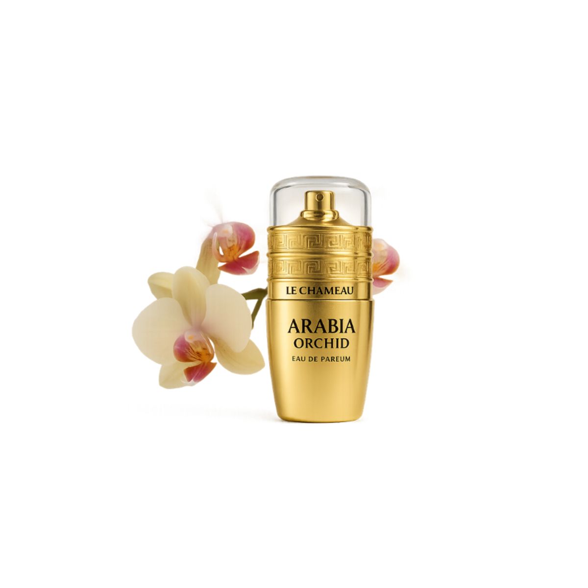 EMPER - PERFUME LE CHAMEAU ARABIA ORCHID 100ML EDP UNISEX