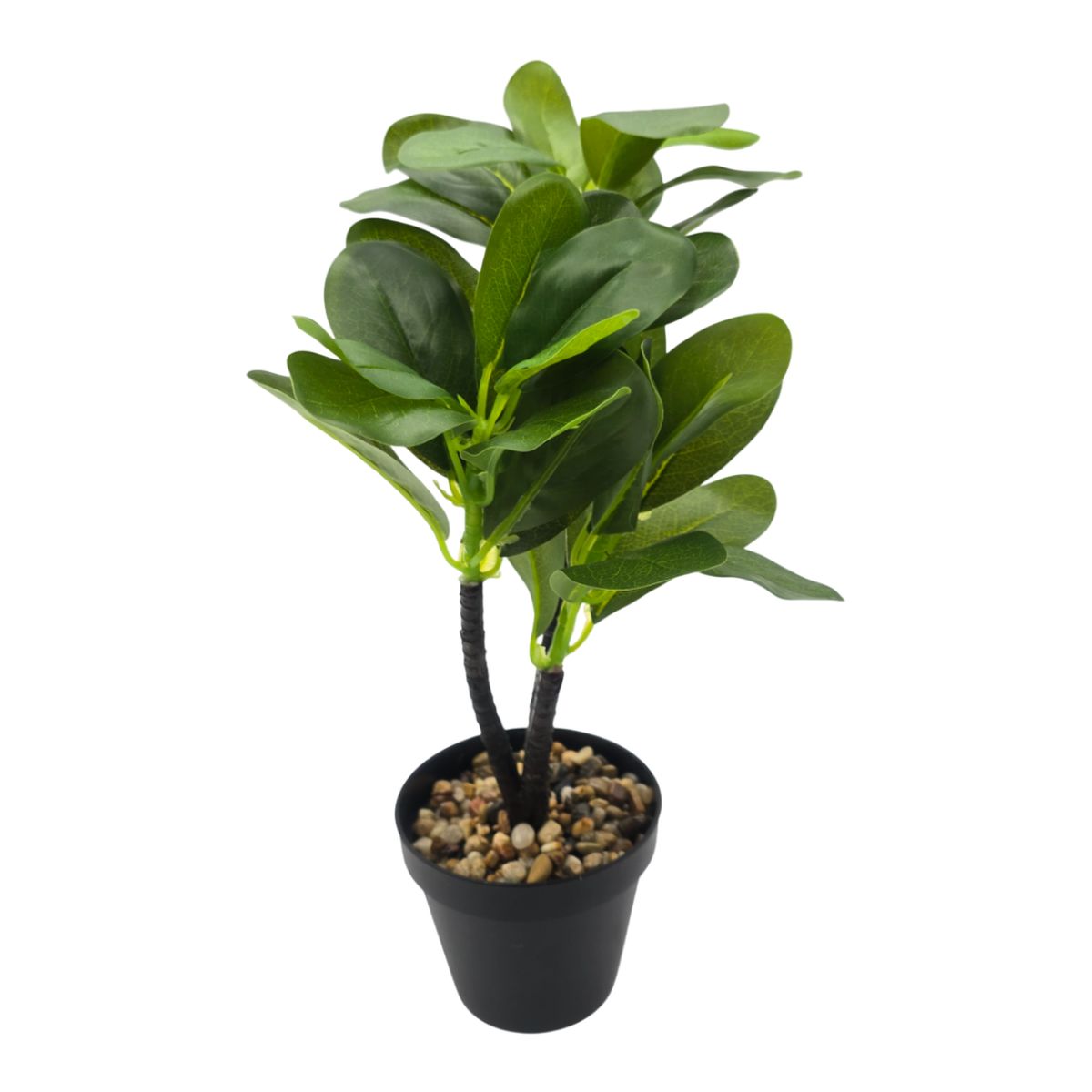 GENERICO - Planta Artificial Hoja Verde Deco Macetero Plastico Negro