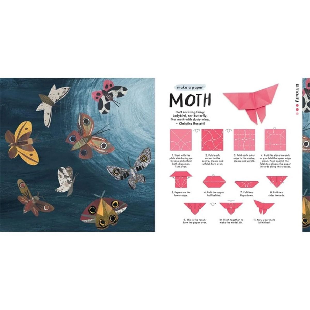 CONTRAPUNTO - Libro Origami de La Naturaleza De Clover Robin