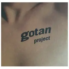 HITWAY MUSIC - GOTAN PROJECT - LA REVANCHA DEL TANGO 2LP - VINILO