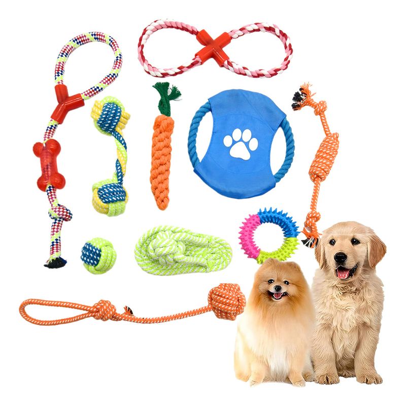 GENERICO - Set De 10 Juguetes Para Perros Pelota De Cuerda Disco Y Más