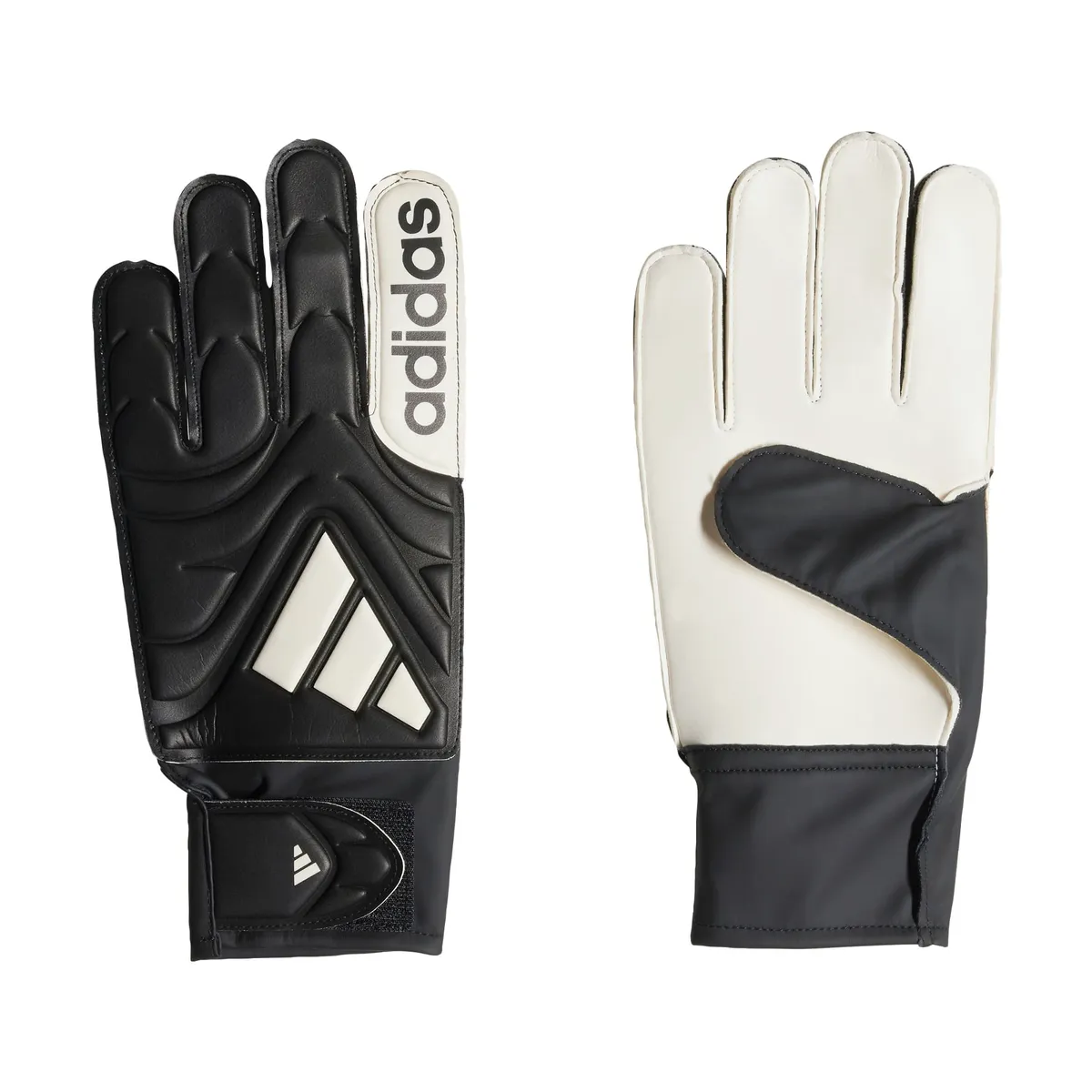ADIDAS - COPA GL CLB