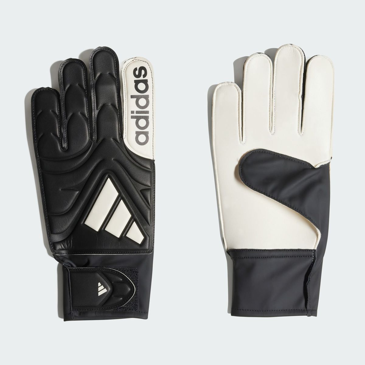 ADIDAS - COPA GL CLB