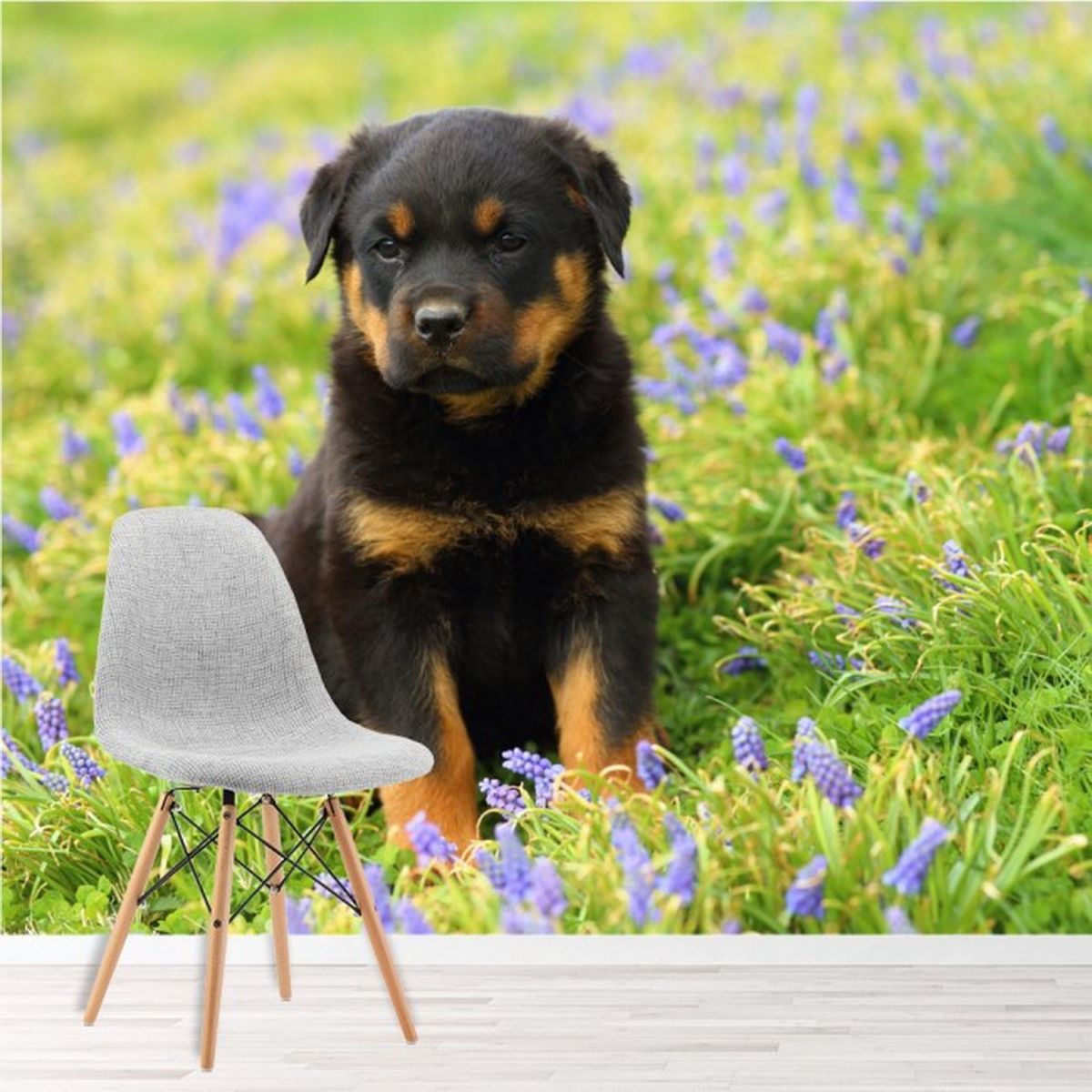 AVERY - Rottweiler Puppy Dog Paper Ws-42396