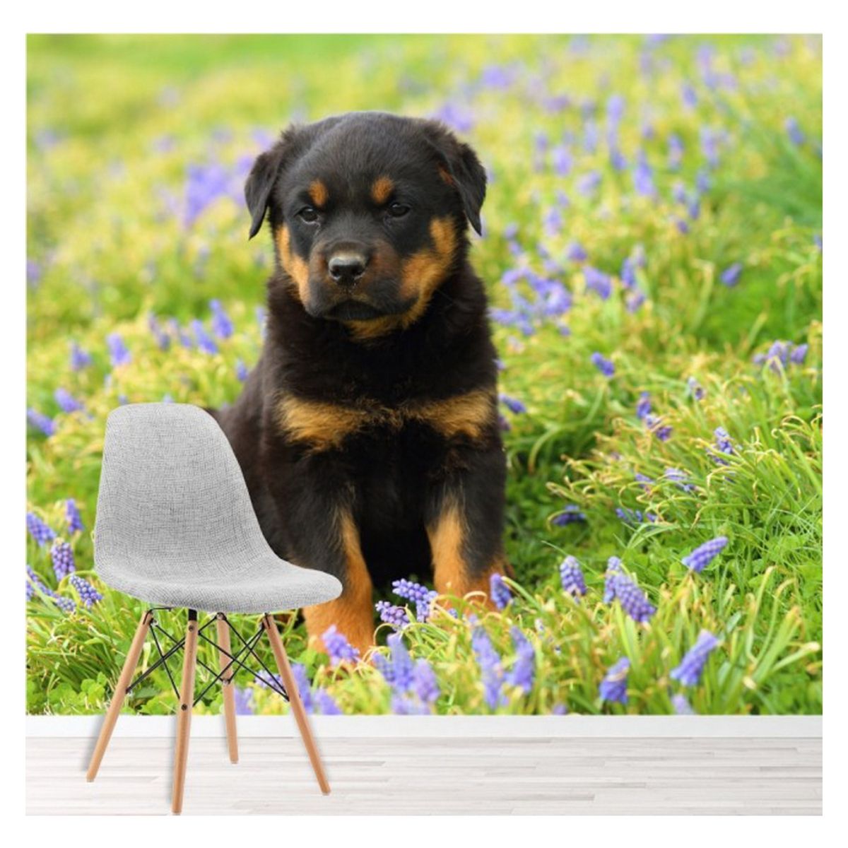 AVERY - Rottweiler Puppy Dog Paper Ws-42396