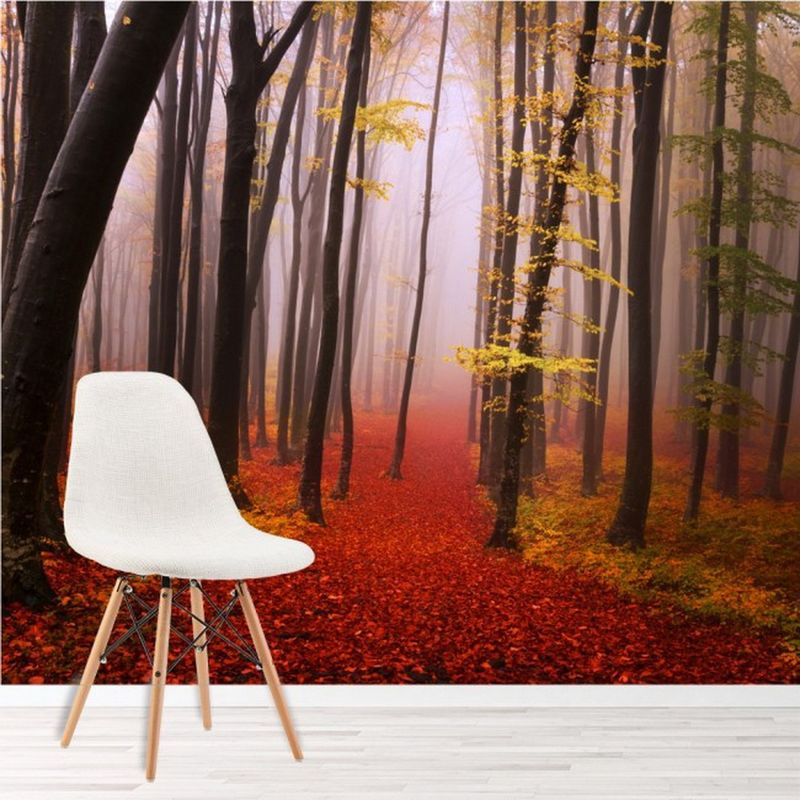 AVERY - Red Path Autumn Forest Paper Ws-42387