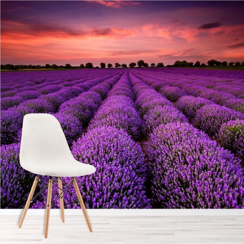 AVERY - Purple Lavender Field Paper Ws-42411