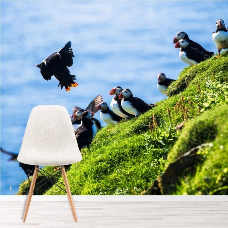 AVERY - Puffin Birds Ocean Wildlife paper WS-47478