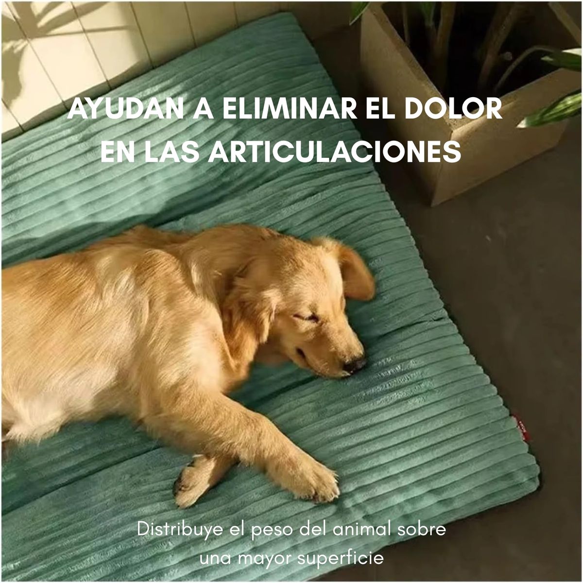 GENERICO - Cama Para Perros Grandes Xl 120x90cm Confort Suave Mascotas