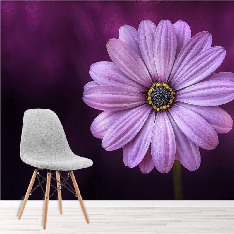 AVERY - Purple Daisy Flower Paper Ws-51182