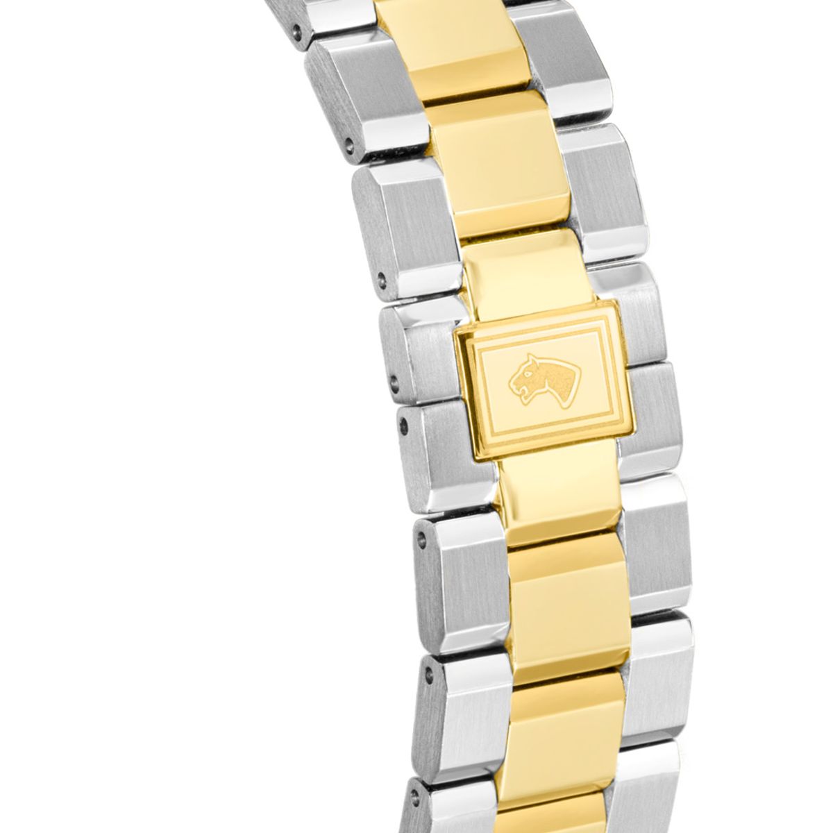 JAGUAR - Reloj J1043/3 Jaguar Swiss Verde Hombre Acamar (Ay-Kuh-Mar)