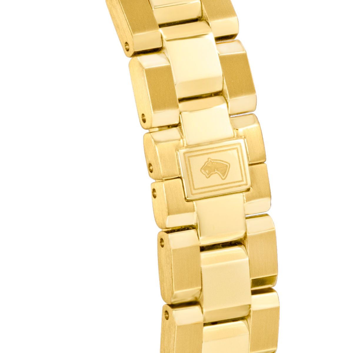 JAGUAR - Reloj J1047/1 Jaguar Swiss Plata Hombre Acamar (Ay-Kuh-Mar)