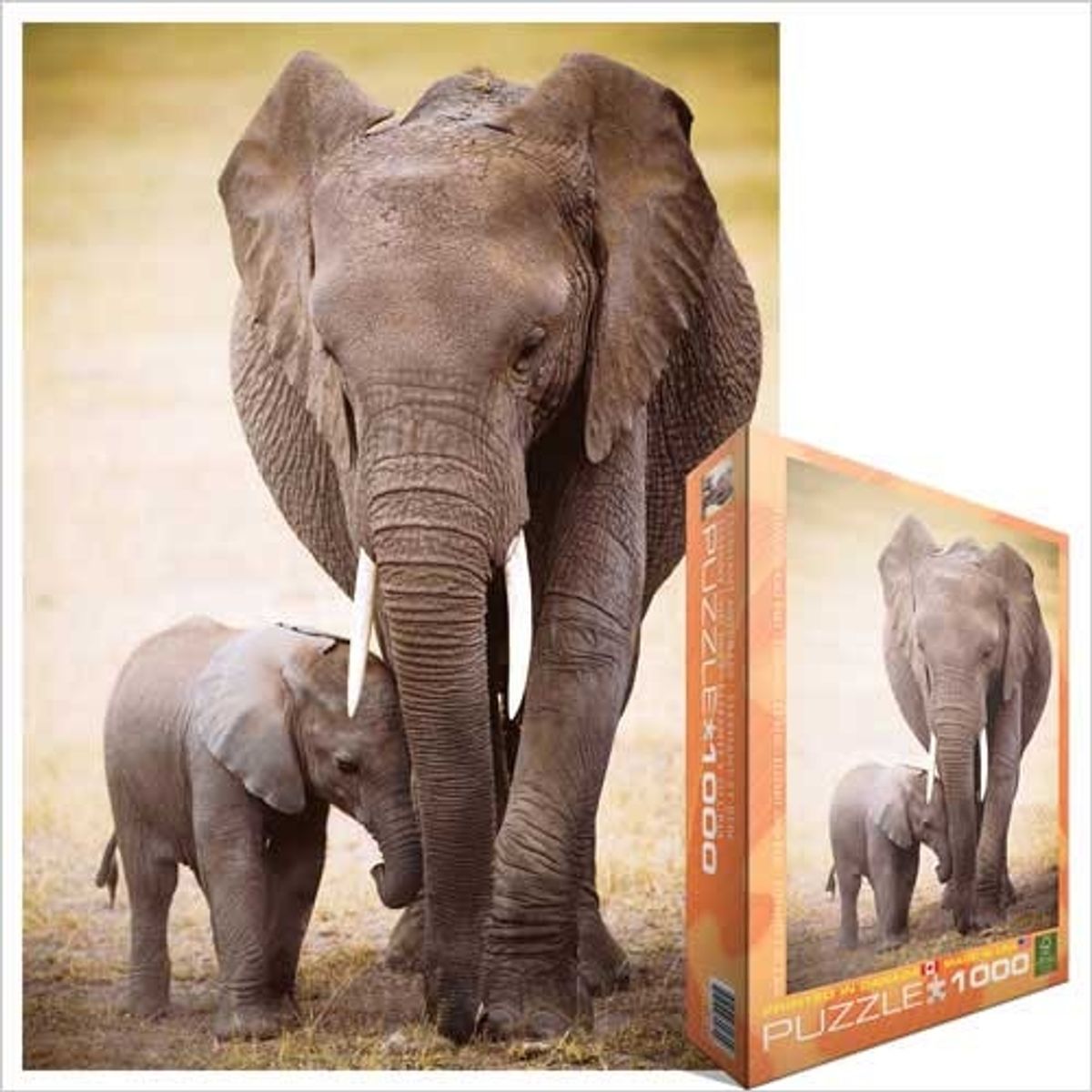 EUROGRAPHICS - EUROGRAPHICS 6000-0270 ELEPHANT AND BABY PUZZLE 1000 PIEZAS