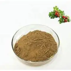 DIVINA - Rosa Mosqueta en polvo 100 gr