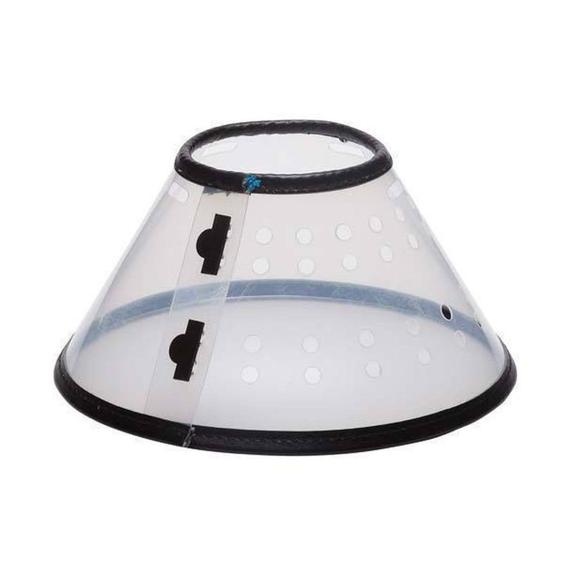 GENERICO - Collar Isabelino Talla 6
