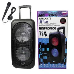 AMAZING - Parlante Karaoke Recargable con micrófono Big Pro 800