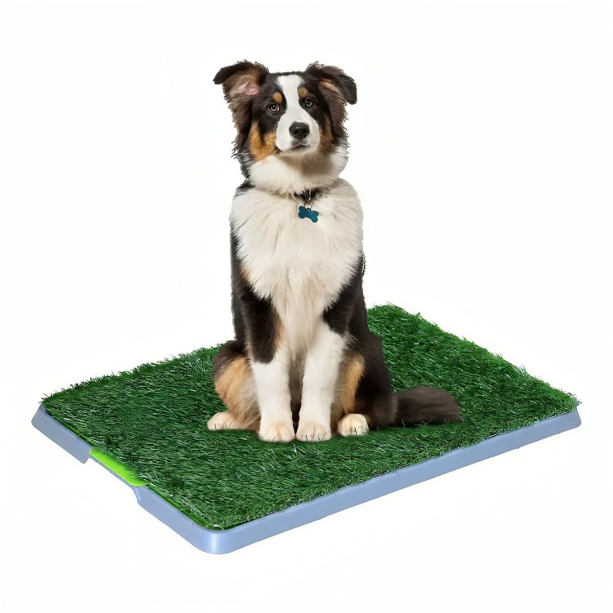 GENERICO - Baño Ecológico Sanitario Mascotas Talla M  Adiestramiento