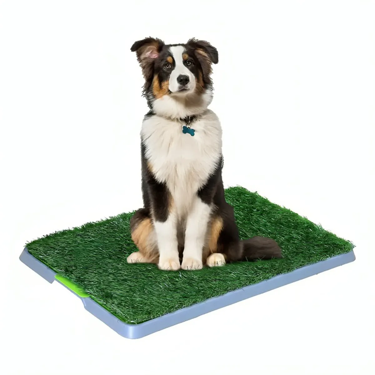 GENERICO - Baño Ecológico Sanitario Mascotas Talla M  Adiestramiento