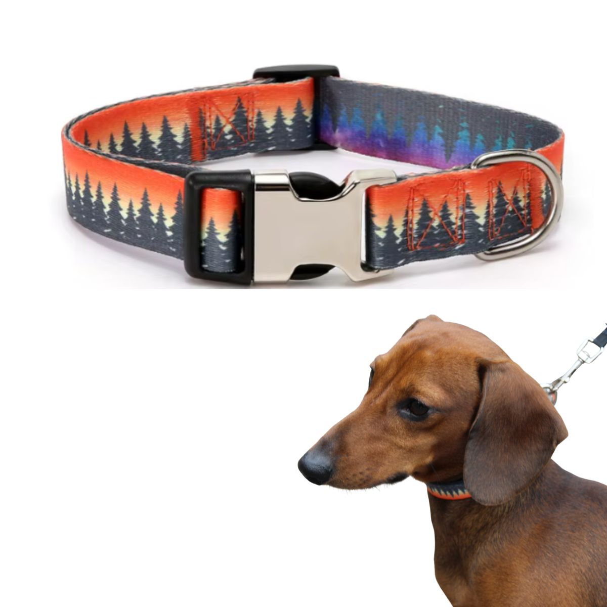 GENERICO - Collar para mascotas Winter Forest Talla S