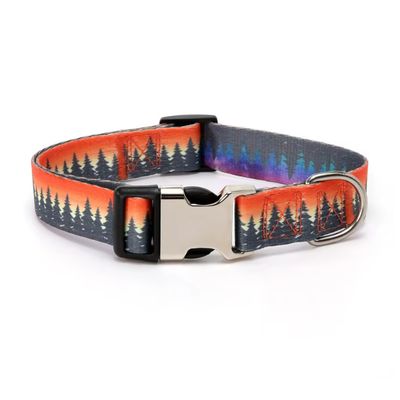 Imagen 2 del producto Collar para mascotas Winter Forest Talla S