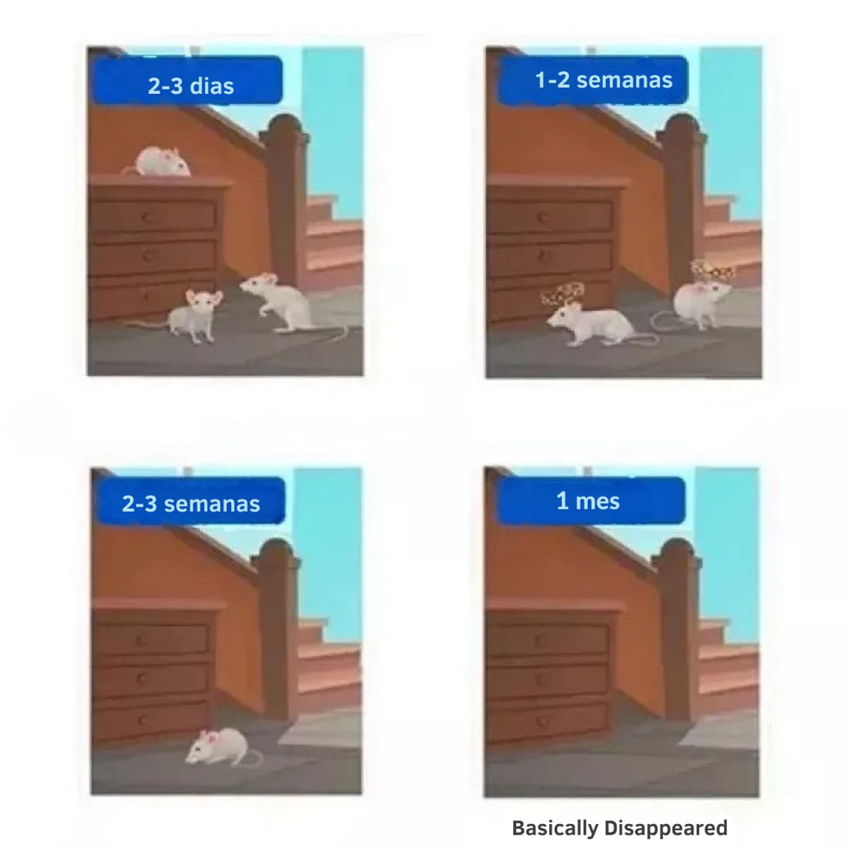 MOVI - Dispositivo Repelente de Insectos y Roedores Enchufable