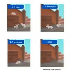 MOVI - Dispositivo Repelente de Insectos y Roedores Enchufable