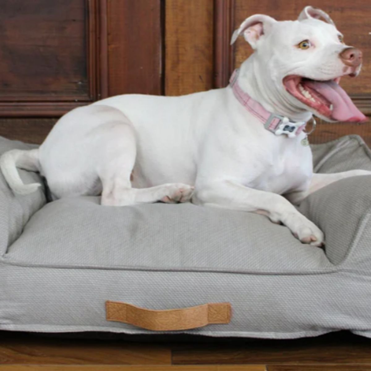 DOG REPUBLIC - Cama de Perros Mediana Lavable Beige M Harry Animal Republic