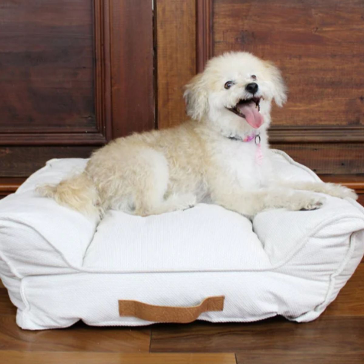 DOG REPUBLIC - Cama de Perros Mediana Lavable Crema M Harry Animal Republic