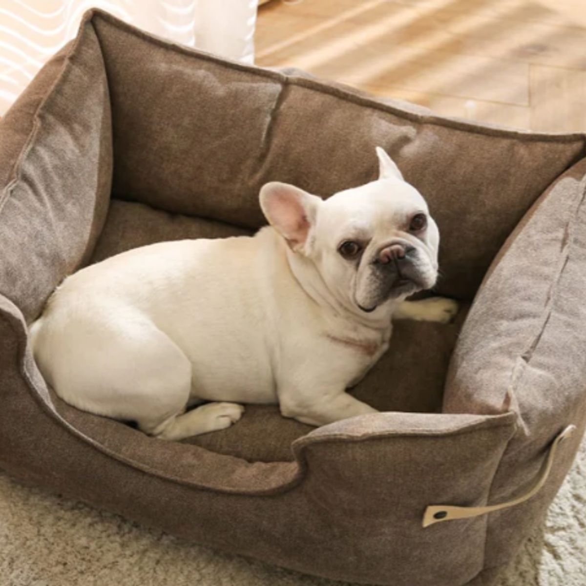 DOG REPUBLIC - Cama de Perros Pequeña Lavable Café S Diana Animal Republic