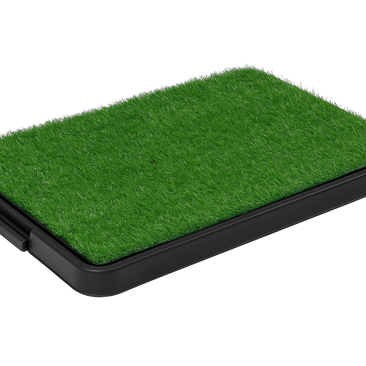 MOVI - Baño Ecológico XXL para Mascotas Pet Potty