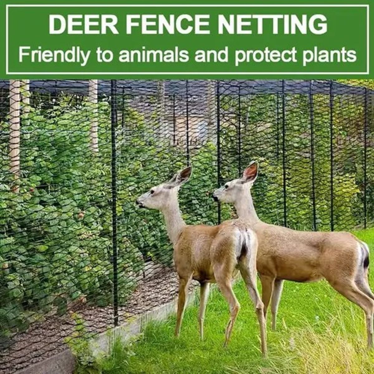 GENERICO - Red Antipájaros Para Protección De Jardines Malla De Jardín.