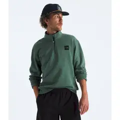 THE NORTH FACE - Poleron Box Half Dome 1/4 Zip Hombre - Verde
