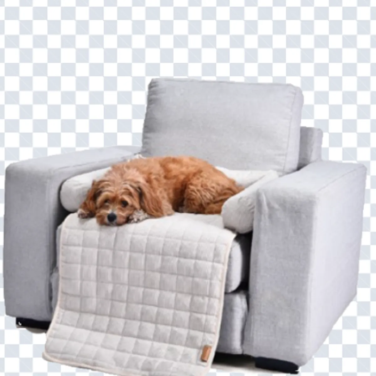 DOG REPUBLIC - Cama de Perros Grande Lavable Beige L Megan Animal Republic