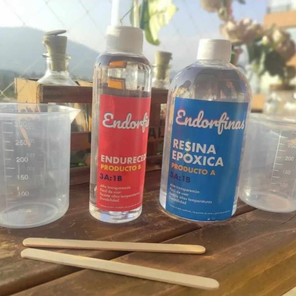 GENERICO - Resina Epóxica Cristal 1000gr + Accesorios Allinx