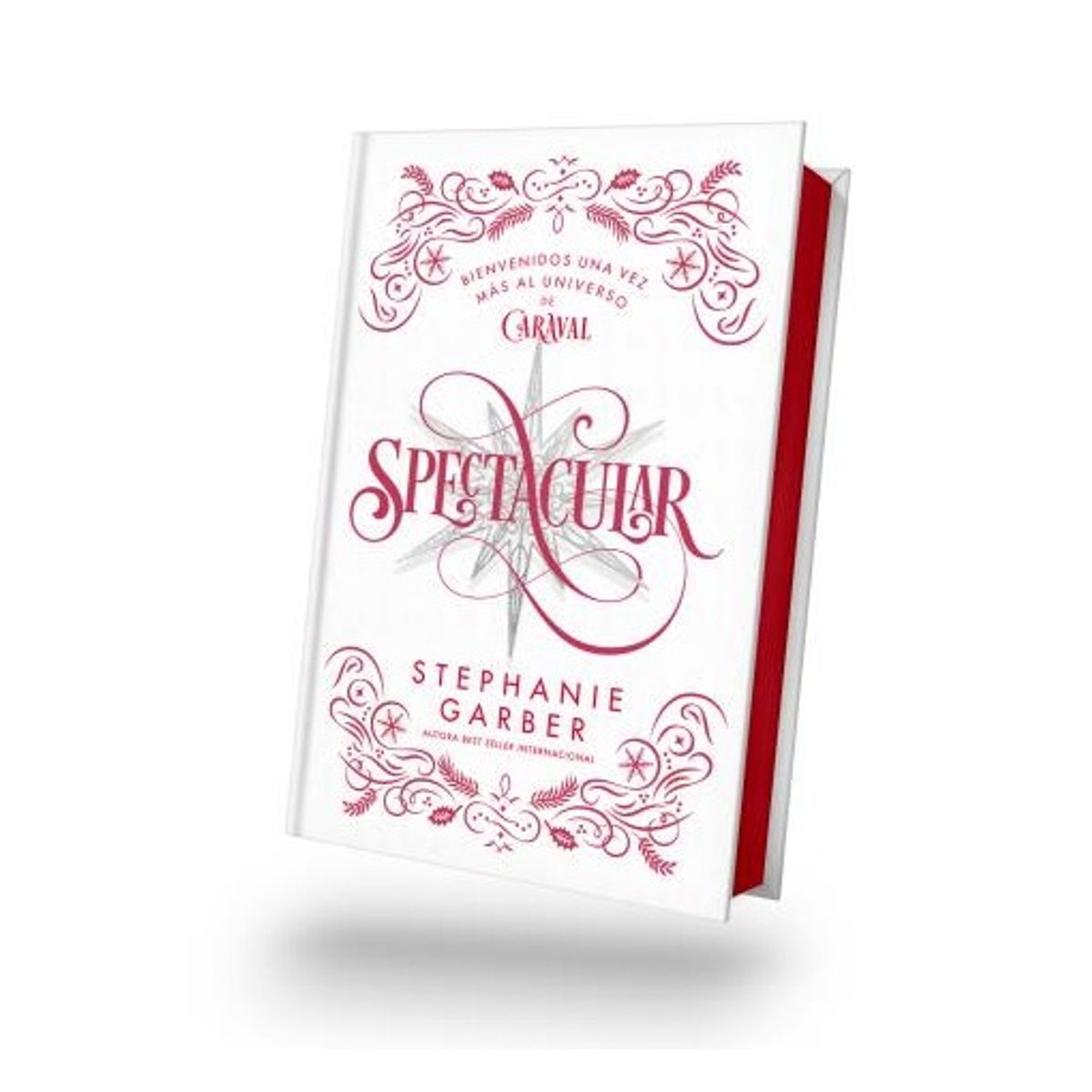 HITWAY MUSIC - SPECTACULAR ED LIMITADA TAPA TELA - STEPHANIE GARBER - LIBRO