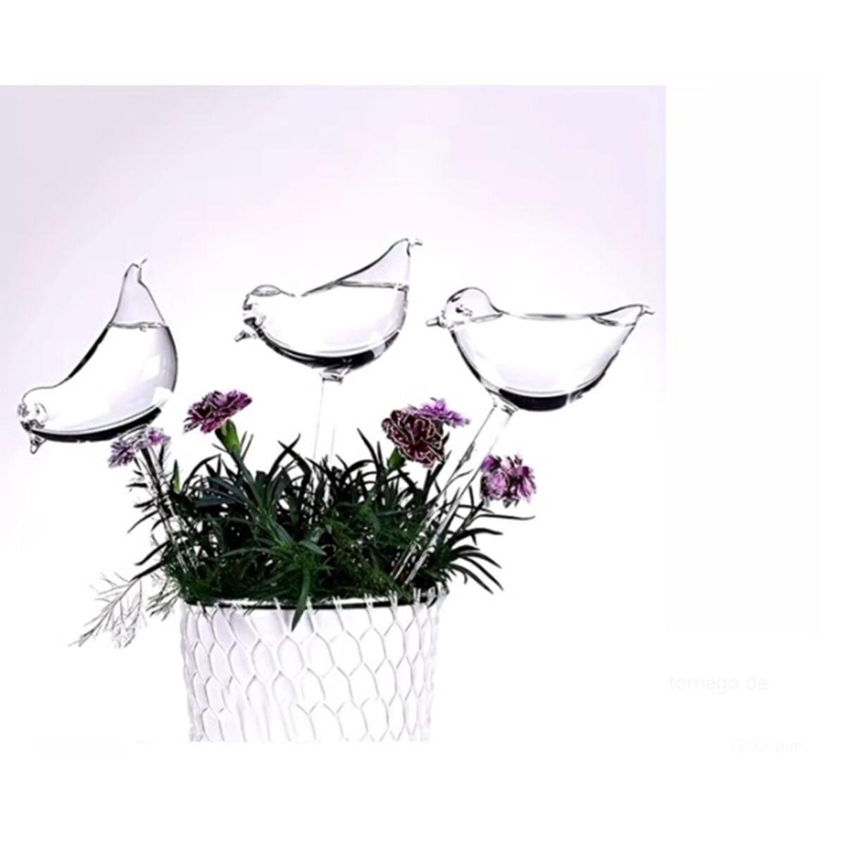 GENERICO - ALIMENTADOR DE AGUA AUTORIEGO PAJARO 3 UNIDADES