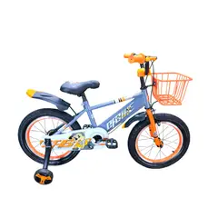 GENERICO - Bicicleta Aro 16 Infantil Cfbike Gris/Naranjo